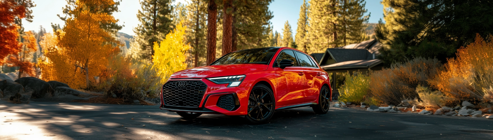 Red Audi in forest